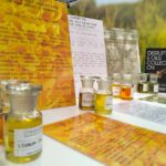 Fragrance bases formulated with essential oils